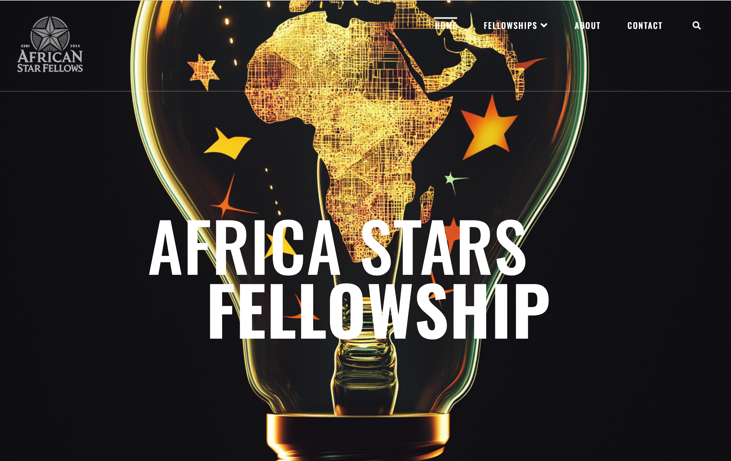 African STARS Fellowship
