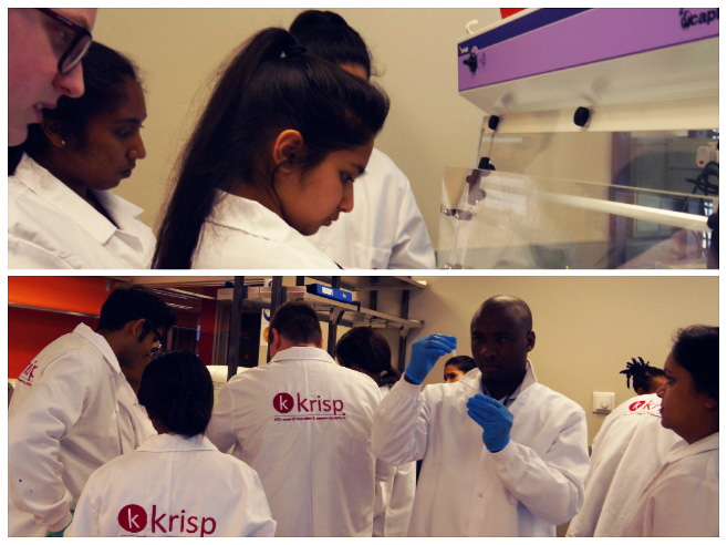 Participants receiving practical training in a state-of-the-art science lab at KRISP