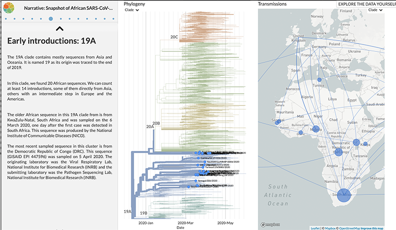 Snapshot of African SARS-CoV-2 Diversity, NGS-SA and Nextstrain